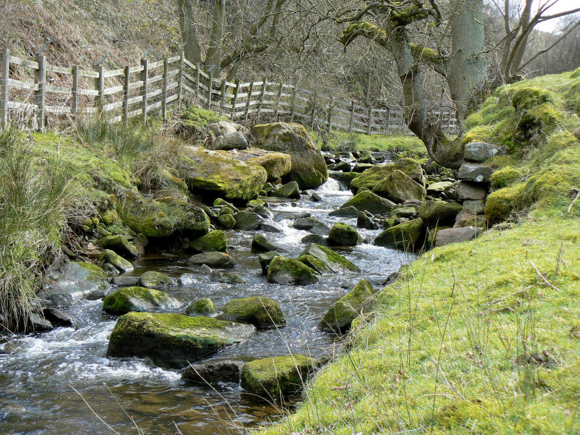 Heathy Lea Brook Heathy Lea Brook